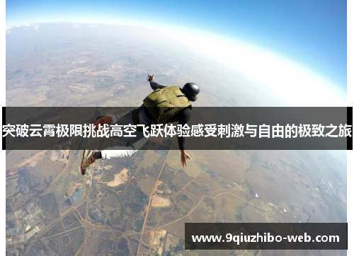 突破云霄极限挑战高空飞跃体验感受刺激与自由的极致之旅